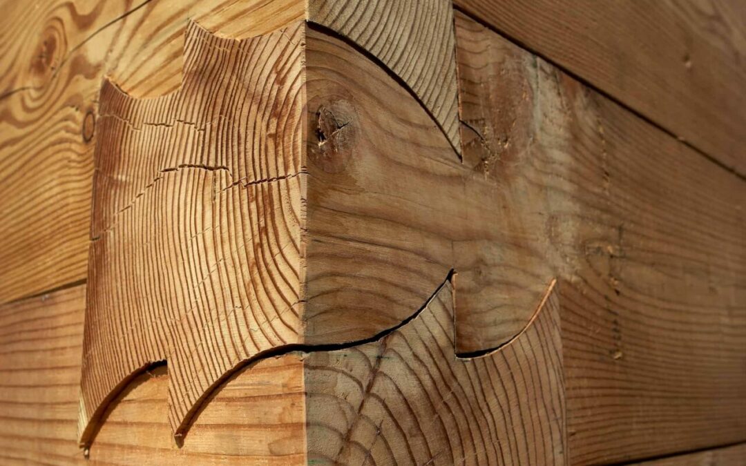 🌲🌳🪵 21. März: Tag des Holzes 🪵🌳🌲